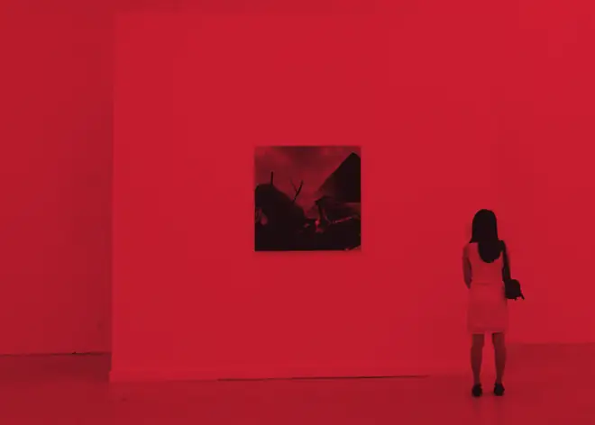 exhibit