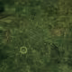 3map