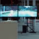 22-10-03_pochen-biennale_ausstellung_mark-frost_0131_SQ